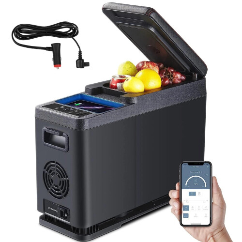 8L Car Armrest Compressor Mini Fridge 12V/24V