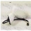 (Main Driver -Left)Compatible Fit/Jazz 2003 2004 2005 2006- 2008 Reverse Mirror Assembly Rearview Mirror 3