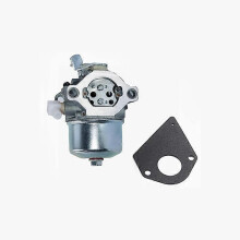 698171 692684 Vergaser für Briggs & Stratton 495778 494883
