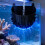 Modern Fish Tanks Water Diffuser Splitter For Even Water-Black 8