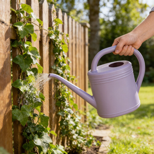 Watering Can 1L/2L Plastic Watering Can with-Blue 2L 2