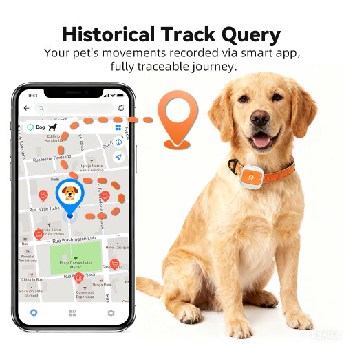 (S) Pet Tracker: Vibration, Multi-Pet Support, Unlimited Virtual Fence, 5 Positioning Modes, 1300mAh 1