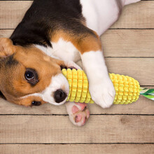 (Voice Type) Corn Dog Chew Toy - TPR, Indoor/Outdoor