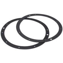 LikeLion (2-Pack) Junta Niche SPX0506D para Luces Subacuáticas Hayward