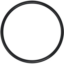 Lid O-Ring kompatibel mit Jandy Zodiac R0480200 für VS FloPro und FloPro FHPF/FHPM Poolpumpen (1-Pack)