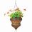Austram 106881 Queen Anne Hängender Pflanzer, Hammared Bronze 1