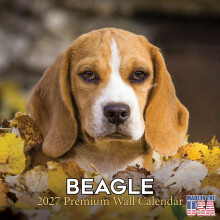 Calendario Beagle 2027 - Calendario da Parete di 16 Mesi, Pianificatore Mensile, Grandi Blocchi di Scrittura