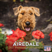 Calendario Airedale 2027 - Calendario da Parete per Cani, Pianificatore Mensile, Spazi Grandi per Scrivere