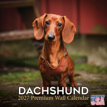 Calendario Dachshund 2027 - Calendario da muro di 16 mesi, Pianificatore mensile, Grande spazio per scrittura