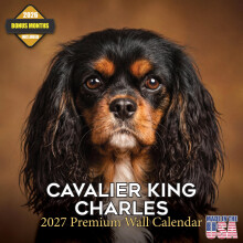 Calendario Cavalier King Charles Spaniel 2027 - 16 Mesi, Planner Muro, Grandi Blocchi Scrittura