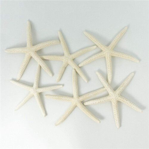 48PCS White Finger Starfish 5-10cm Decorative Five-Finger Starfish 2