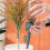 12pcs Automatic Waterer Household Flower Plant Self Watering Device Automatic Drip Irrigation System 5