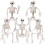 2X Halloween Skeletons Decorations, Posable Plastic Skeleton, Full Body Skeleton with Movable Joints 2