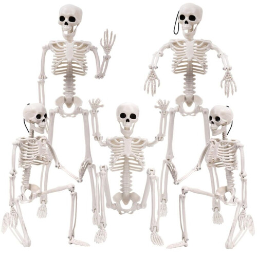 2X Halloween Skeletons Decorations, Posable Plastic Skeleton, Full Body Skeleton with Movable Joints 1
