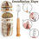 Bread Cutter Bread Lame Bread Scoring Tool Dough Bread Scoring Knife Tool With 5 Blades Leather Cover 4
