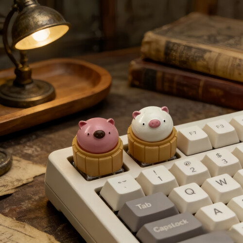 Charmante magnetische hars-keycap in-Wit 2