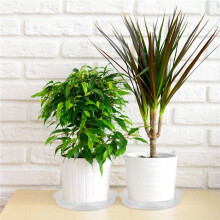 50 Stks 8 Inch Clear Plant Schotel Plastic Lekbakken voor Indoor en Outdoor Planten voor Holding Succulente Bloem Planter Pot