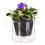 4X Vaso Autoirrigável de 4 Polegadas, Vaso para Violeta Africana, Vaso de Vidro com Fundo Irrigável para Plantas de Interior e Propagação 2