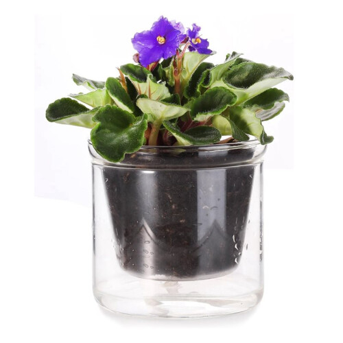 4X Vaso Autoirrigável de 4 Polegadas, Vaso para Violeta Africana, Vaso de Vidro com Fundo Irrigável para Plantas de Interior e Propagação 1