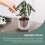 4X Vaso Autoirrigável de 4 Polegadas, Vaso para Violeta Africana, Vaso de Vidro com Fundo Irrigável para Plantas de Interior e Propagação 8