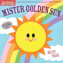Indestructibles Mister Golden Sun by Workman Publishing Paperback Book