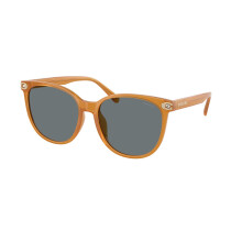 Coach HC8414BD CW428 Asian Fit 585580 Women New Sunglasses