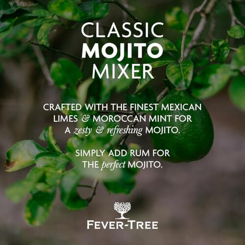 Fever-Tree Classic Mojito Cocktail Mixer Pack (3x500ml) 2