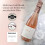 BOLLE Rosé 5