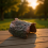 (L) Waterproof Anti-Slip Turtle Basking Platform 11