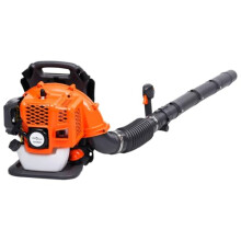 vidaXL Petrol Backpack Leaf Blower - Powerful 42.7cc Engine, High Speed, Air Volume 900 m³/h, Adjustable Outlet, Thumb-Operated Control,