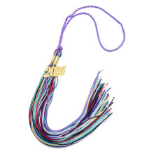 2026 Commencement Cap Tassels Graduation Gowns Hat Tassels-1PCS