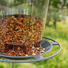 Wild Bird Feeder, Outside Squirrel Proof Bird Feeder, Hanging Wild Bird Feeder with Round Shaped Roof Grey