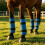 Enveloppe de jambe de cheval, coque dure, Protection-Violet 7
