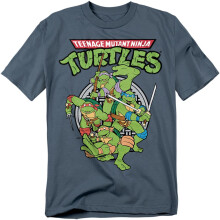(3XL, Slate) Teenage Mutant Ninja Turtles Unisex Adult Group T-Shirt
