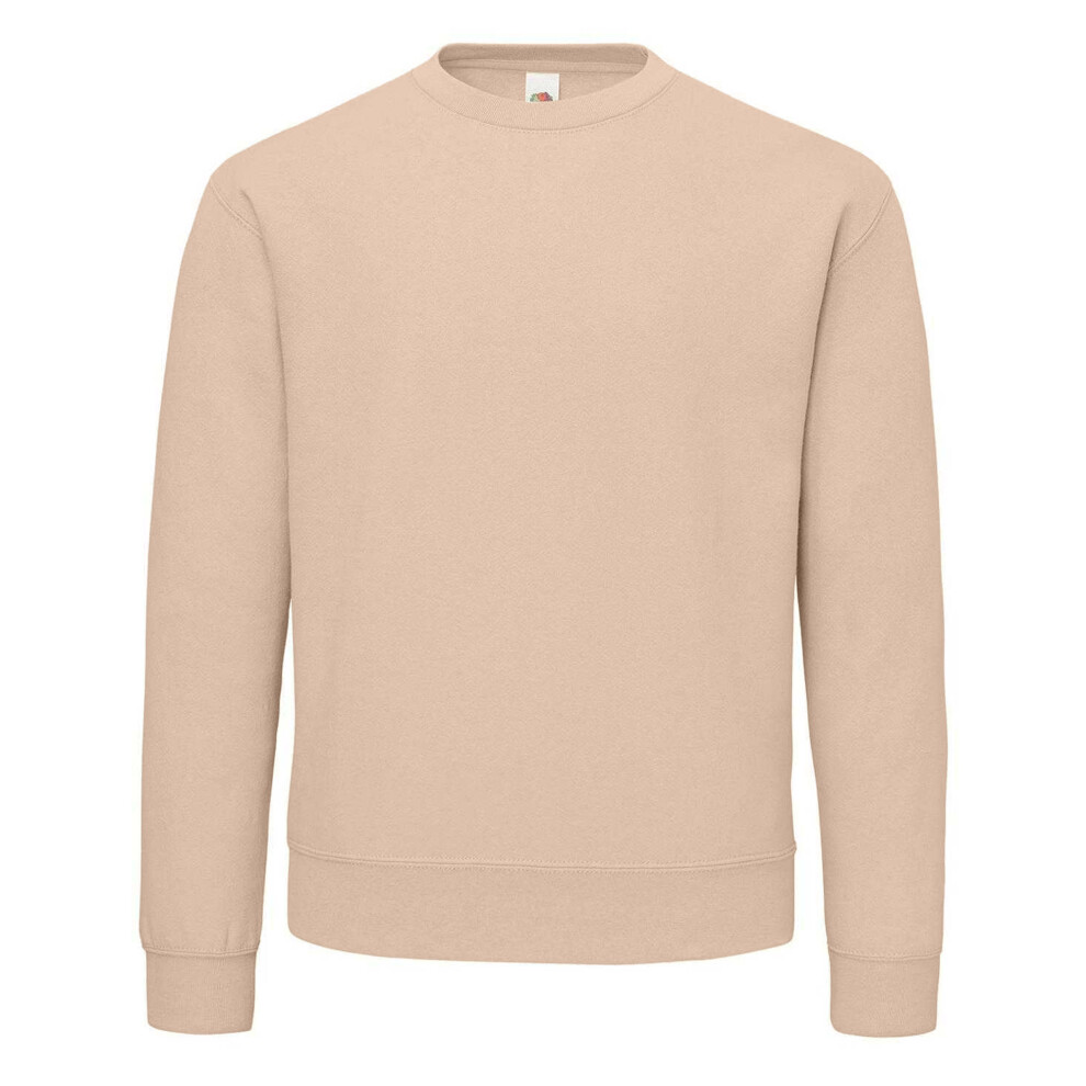 Fruit Of The Loom (L, Desert Sand) Unisex Adult Supercotton Sweatshirt