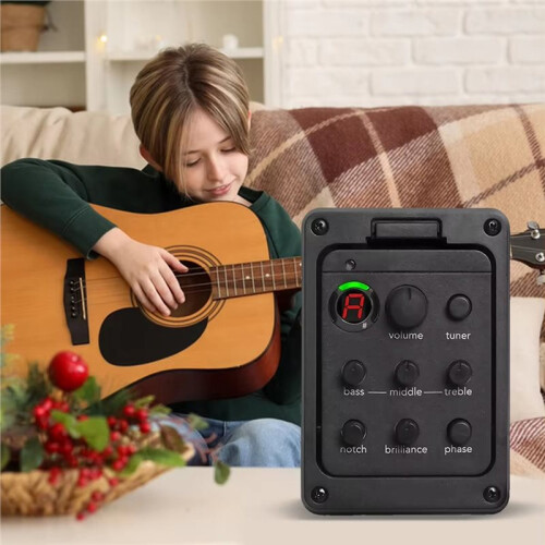 201 Akustisk Gitarrförstärkare 4-Bands EQ-Tuner 2