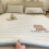 Breathable Comfortable Quilted Mattress Sleeping-Light coffee A 3