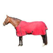 (6' 6", Red/Charcoal) HYCONIC Standard-Neck 100g Horse Turnout Rug