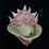 Cool monster draken latex masker 5