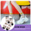 Cat Print Sheer Socks for Women 3
