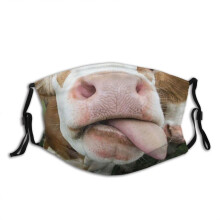 (Style 5)Animal Pattern Cotton Face Mask Washable Decorative Cover For Men Gift Women