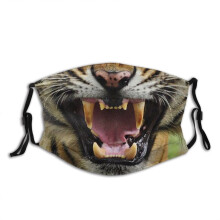 (Style 13)Animal Pattern Cotton Face Mask Washable Decorative Cover For Men Women Gift