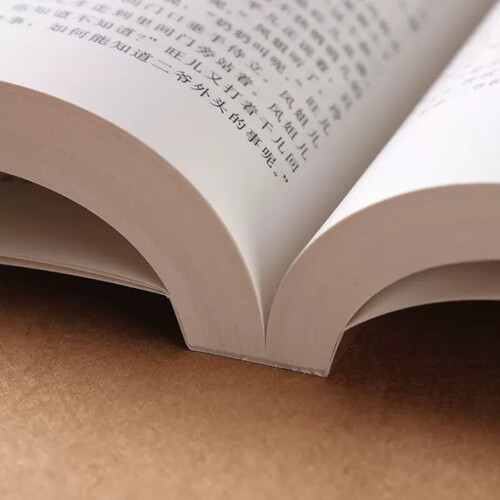 (A) \"Red Chamber Junior Illustrated Edition\"