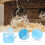 1Hamster Hut Dubbele Knaagdier Nest Speelplek 5