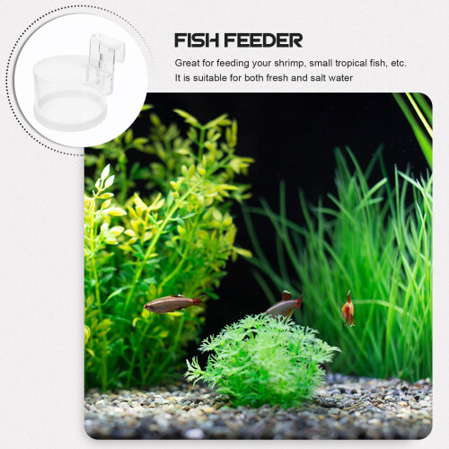 1Transparante Feeder Ring Aquarium Accessoires 2