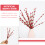 5St Plastic Takken Voor Kerst En Decor 6