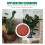 20St Stevige Plastic Schalen Met Wateropvang 4