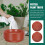 20St Stevige Plastic Schalen Met Wateropvang 9