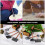 1Set Praktische Mini Tools Voor Miniatuur Accessoires 3