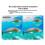For  X5 Invisible Dive Case Waterproof Protector Underwater 50M Diving Shell for Deep Sea Exploration 6